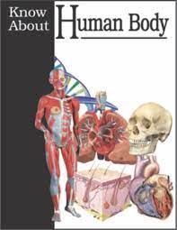 Human Body